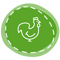 Für biogesunde Hühner